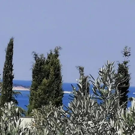 Sunrise Garden And Sea View